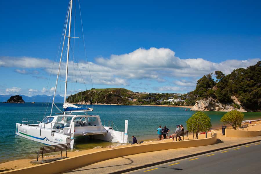Abel Tasman National Park: Cruise, Walk & Sailing Tour - Walking the Pitt Head loop from Anchorage Bay