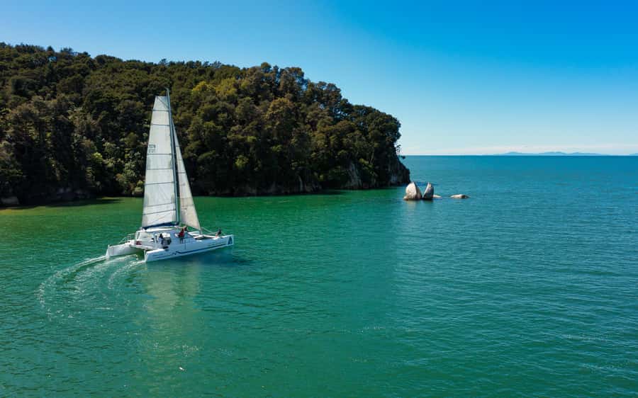 Abel Tasman National Park: Cruise, Walk & Sailing Tour - Wildlife, seals, and the quieter side of the coast