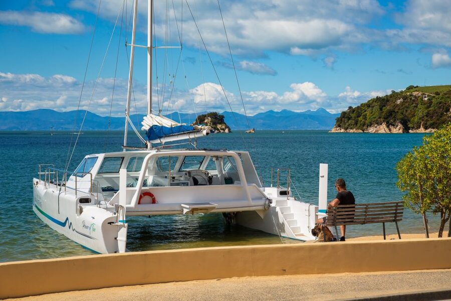 Abel Tasman National Park: Day Sailing Adventure with Lunch - Split Apple Rock from the water