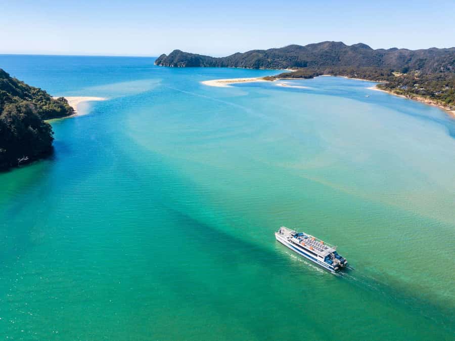 Abel Tasman: Sea Shuttle Cruise and Walking Tour Combo - Split Apple Rock and Adele Island wildlife