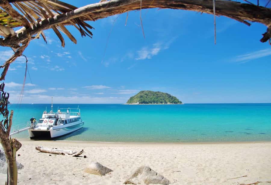 Abel Tasman: Sea Shuttle Cruise and Walking Tour Combo - Option A: Apple Tree Bay to Anchorage