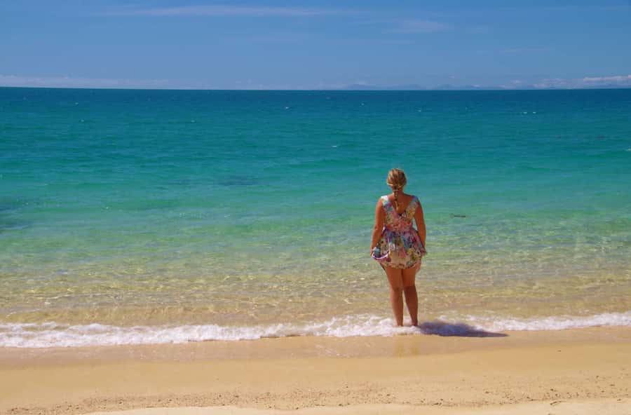 Abel Tasman: Sea Shuttle Cruise and Walking Tour Combo - Option B: Medlands Beach, swing bridge, and Cleopatra’s Pool
