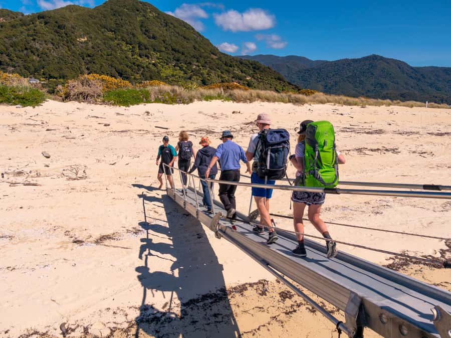 Abel Tasman: Sea Shuttle Cruise and Walking Tour Combo - Timing is the real key to a relaxed day