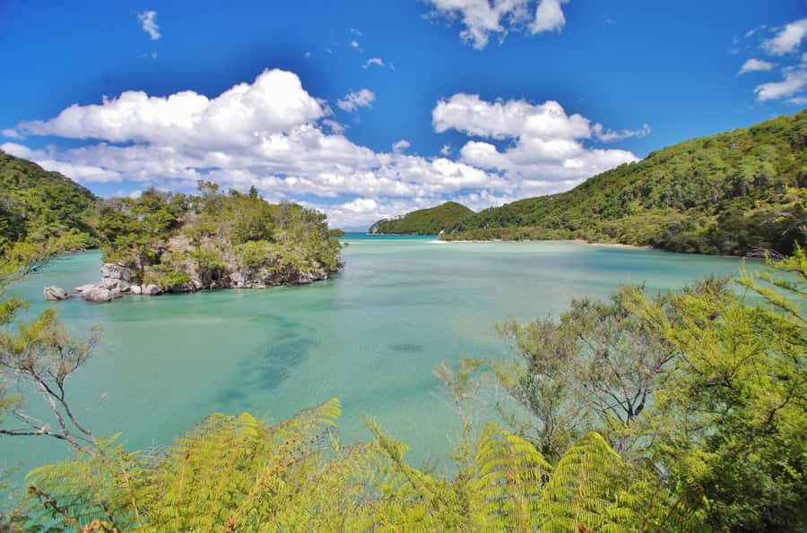 Abel Tasman: Sea Shuttle Cruise and Walking Tour Combo - What to pack for the Abel Tasman coast