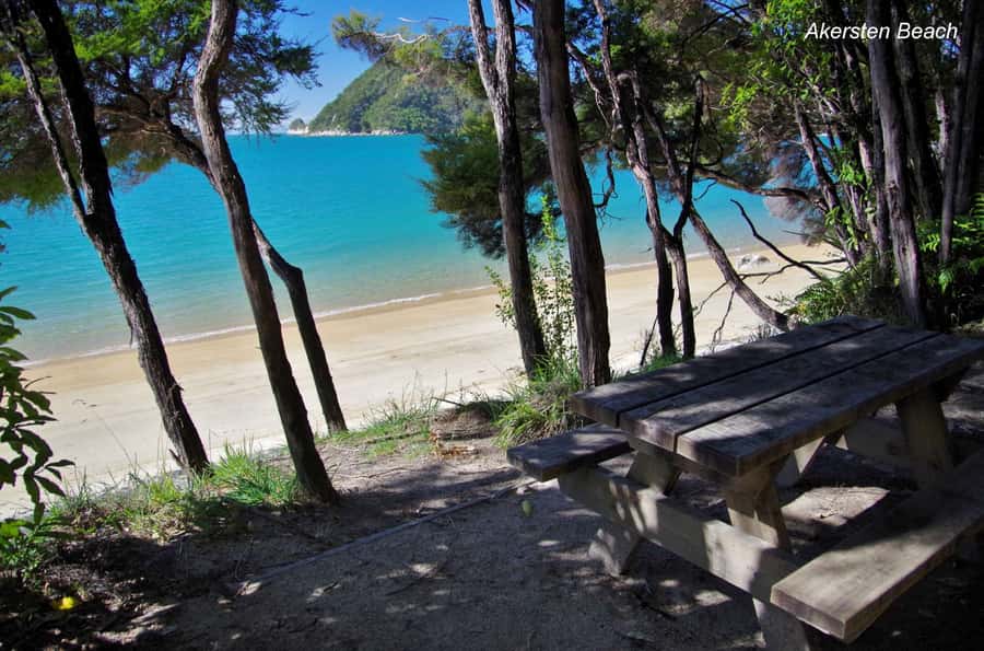 Abel Tasman: Sea Shuttle Cruise and Walking Tour Combo - Is $74 good value?