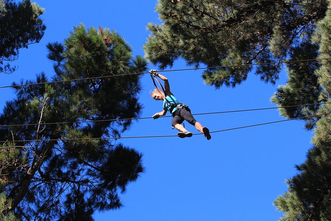 Adrenalin Forest Auckland - A high-ropes course with room to choose