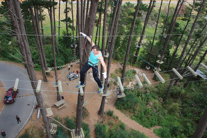 Adrenalin Forest Auckland - Your first job is reaching the starting area