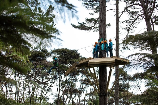 Adventurous Zipline Tour in Coromandel - A mountain railway ride sets the tone