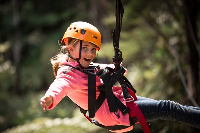 Adventurous Zipline Tour in Coromandel - What the two-and-a-half-hour schedule feels like