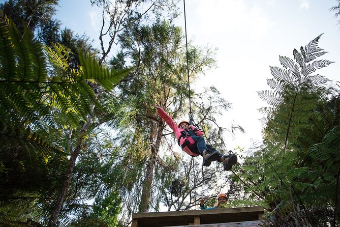 Adventurous Zipline Tour in Coromandel - Who will enjoy this most