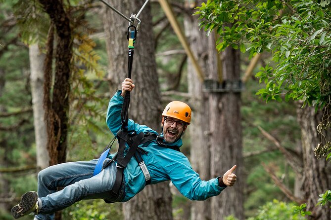 Adventurous Zipline Tour in Coromandel - Should you book the Coromandel Zipline Tour?
