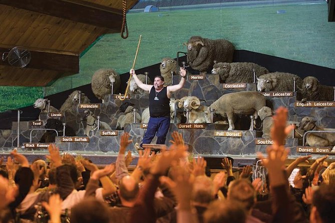 Agrodome Farm Experience including Farm Show and Farm Tour - Rotorua - Agrodome at a glance