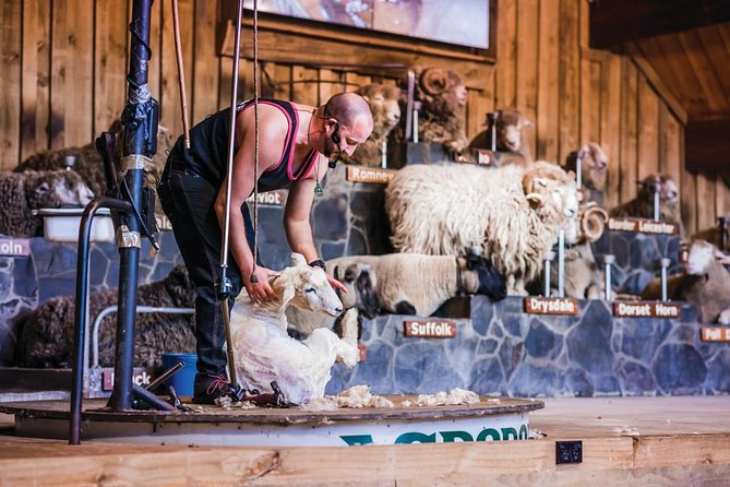 Agrodome Farm Experience including Farm Show and Farm Tour - Rotorua - Why Agrodome makes sense in Rotorua