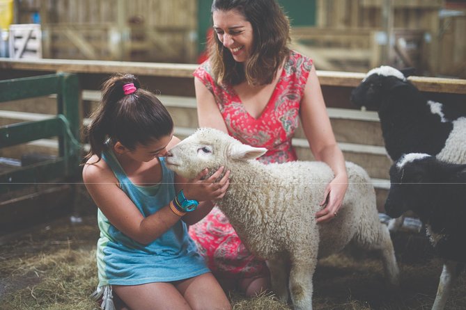 Agrodome Farm Experience including Farm Show and Farm Tour - Rotorua - The animals and farmyard nursery