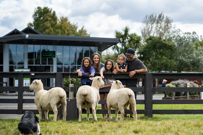 Agrodome Farm Experience including Farm Show and Farm Tour - Rotorua - What makes the experience educational