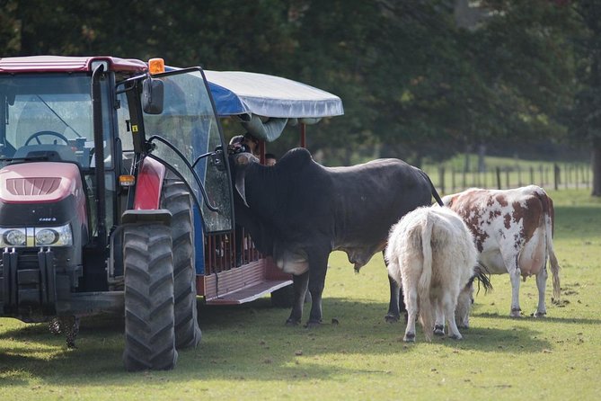 Agrodome Farm Experience including Farm Show and Farm Tour - Rotorua - Timing, comfort, and practical details