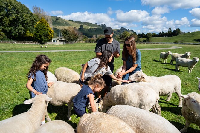 Agrodome Farm Experience including Farm Show and Farm Tour - Rotorua - Who should book Agrodome