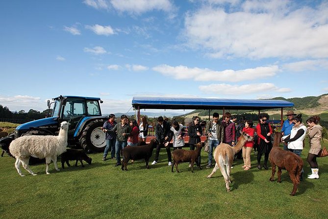Agrodome Farm Experience including Farm Show and Farm Tour - Rotorua - Is the $40.34 ticket good value?