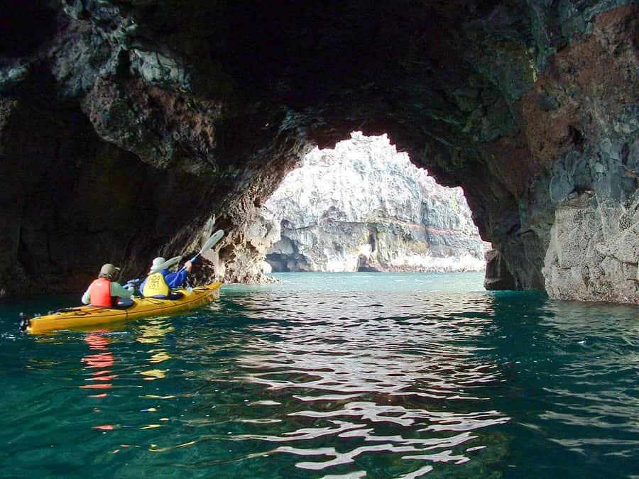 Akaroa: 4WD Safari and Guided Sea-Kayaking Experience - Paddling below cliffs, reefs, and sea caves