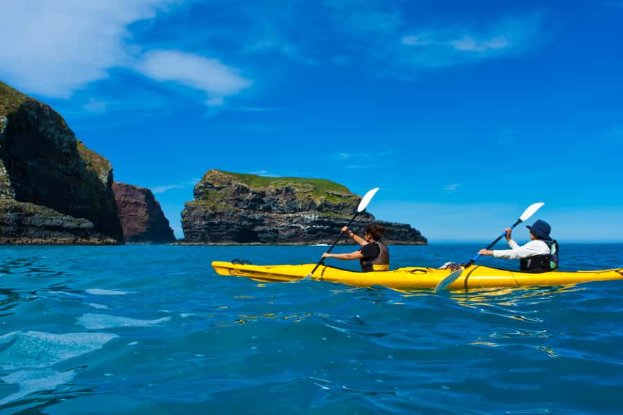 Akaroa: 4WD Safari and Guided Sea-Kayaking Experience - Is the $80 price good value?