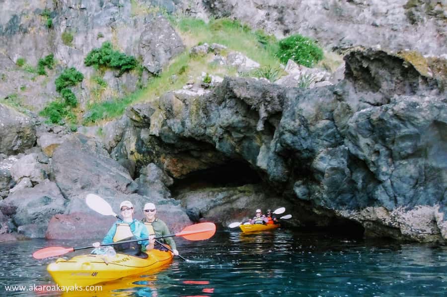 Akaroa: Akaroa Marine Reserve Sea Kayaking Tour - Is $80 good value for 150 minutes?