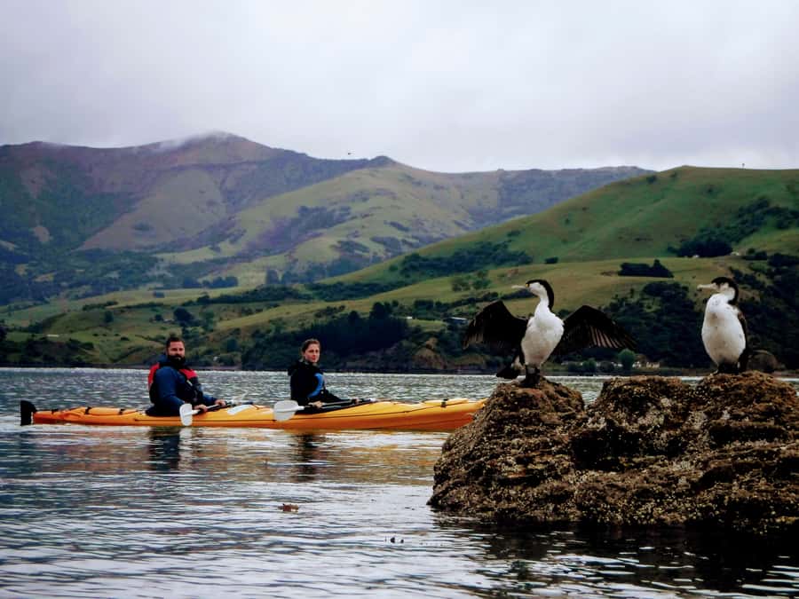 Akaroa: Akaroa Marine Reserve Sea Kayaking Tour - Learning the basics before leaving shore