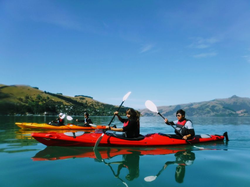Akaroa: Akaroa Marine Reserve Sea Kayaking Tour - Caves, bays, and quiet coastal corners