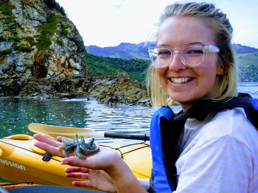 Akaroa: Akaroa Marine Reserve Sea Kayaking Tour - Watching for Hector dolphins and other wildlife