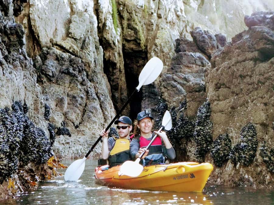 Akaroa: Akaroa Marine Reserve Sea Kayaking Tour - Why the small group matters