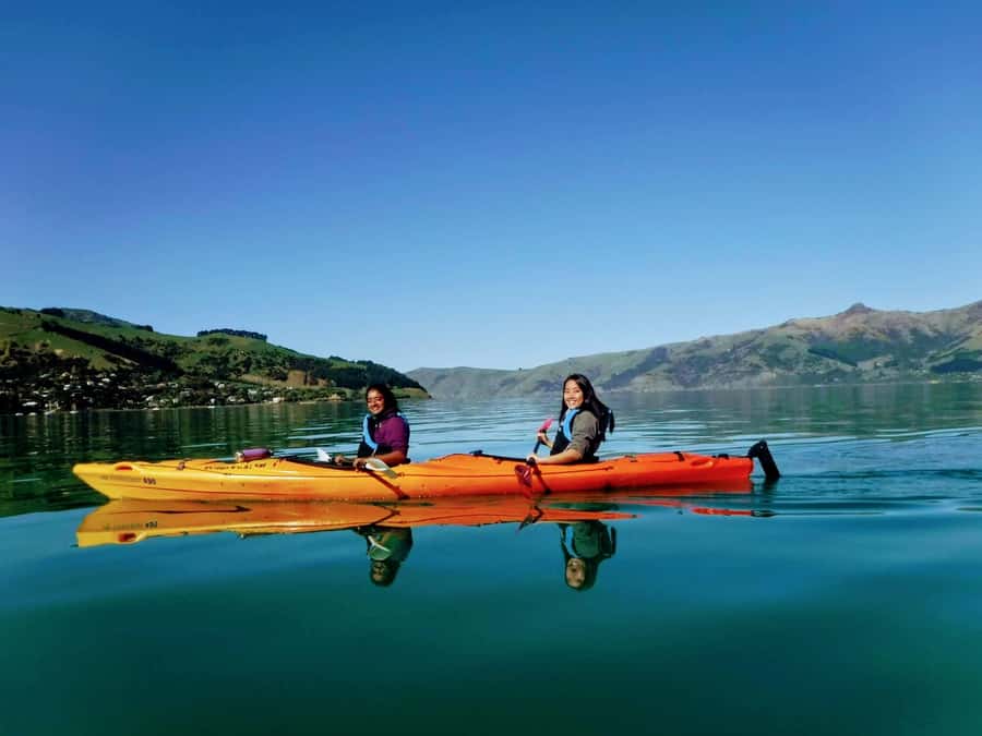 Akaroa: Akaroa Marine Reserve Sea Kayaking Tour - Starting opposite the bowling club