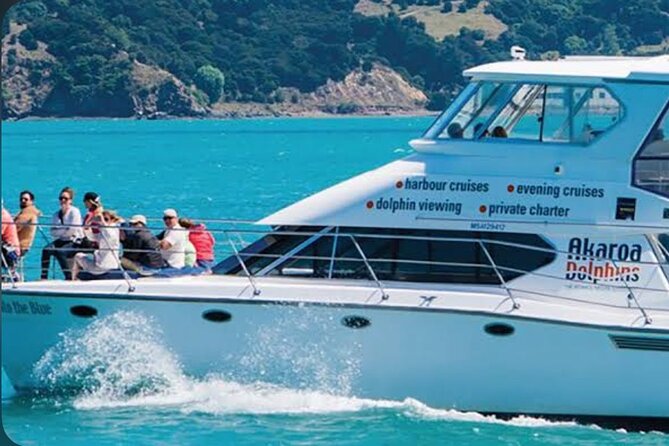 Akaroa Day Tour From Christchurch - The optional catamaran cruise and Hector’s dolphins