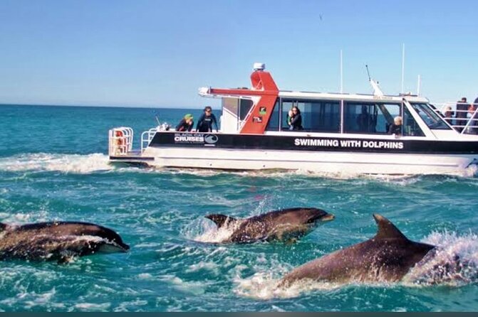 Akaroa Day Tour From Christchurch - Small-group comfort and the long road hours