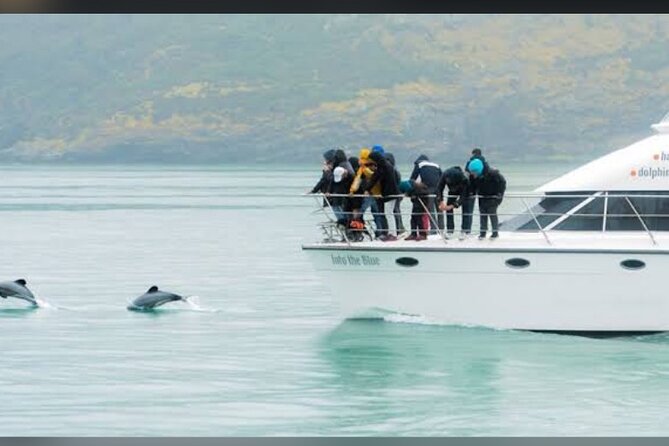 Akaroa Day Tour From Christchurch - What the feedback tells me about the experience