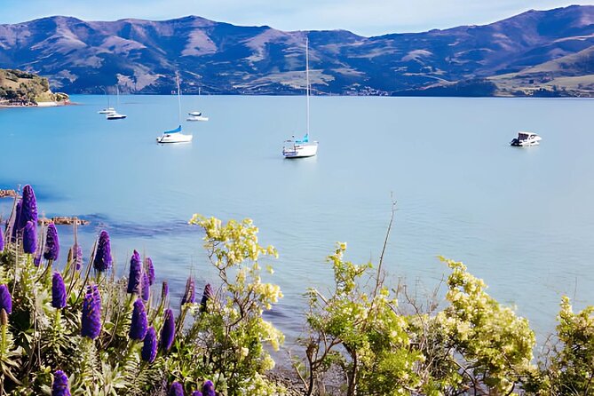 Akaroa Day Tour from Christchurch Return - Akaroa’s French flavor and harbor-town pace