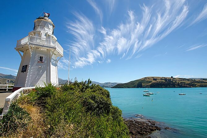 Akaroa Day Tour from Christchurch Return - The optional cruise for Hector’s dolphins