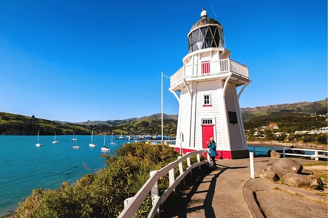 Akaroa Day Tour from Christchurch Return - What the guide and private format add