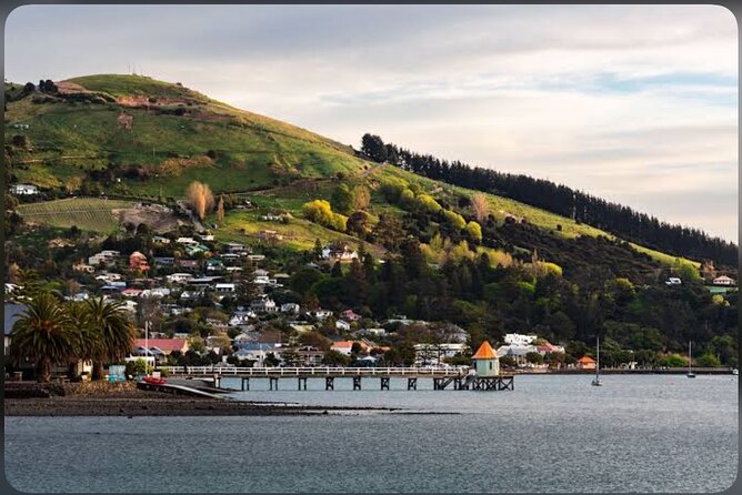 Akaroa Day Tour From Christchurch - Governor’s Bay and the big peninsula views
