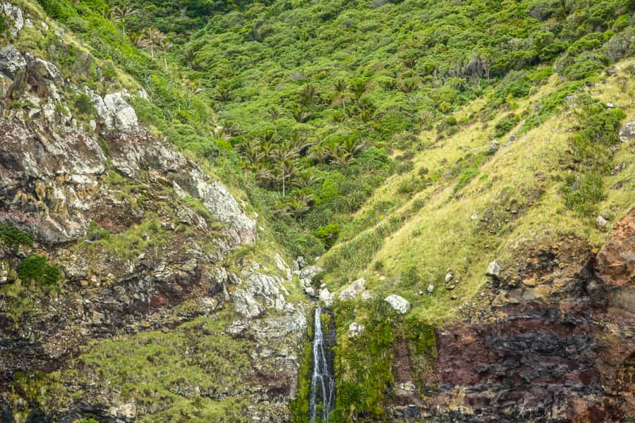 Akaroa: Dolphin Nature Cruise - Is $77 good value?