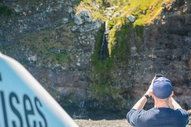 Akaroa Dolphins ~ Harbour Nature Cruise - How much value do you get for $80.67?
