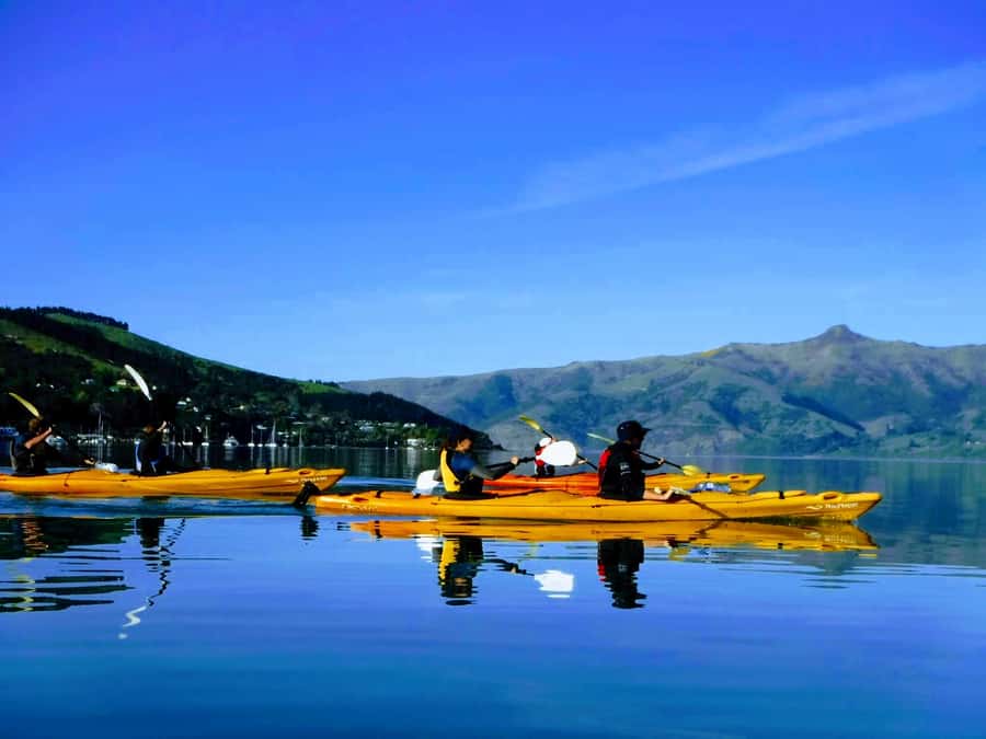 Akaroa: Electric Mountain Bike and Sea Kayak Adventure - Key points to know before booking