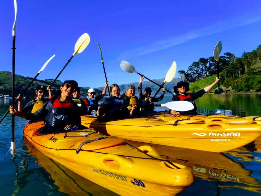 Akaroa: Electric Mountain Bike and Sea Kayak Adventure - Two ways to see Akaroa in one active day