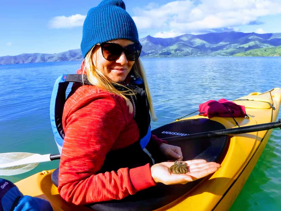 Akaroa: Electric Mountain Bike and Sea Kayak Adventure - Weather, clothing, and comfort