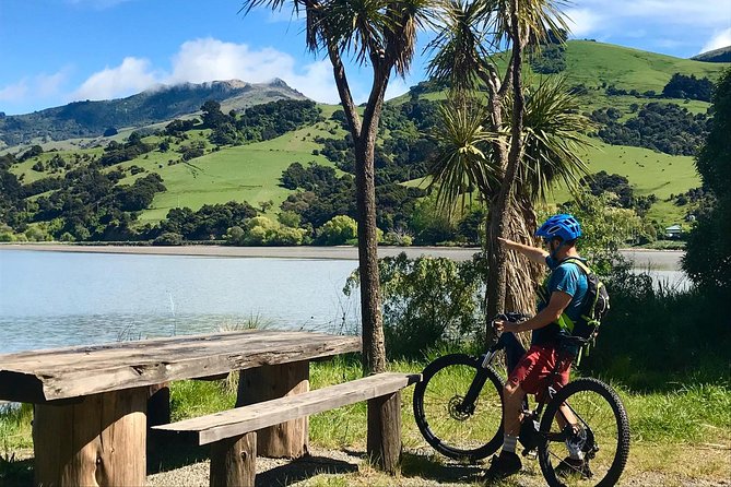 Akaroa Explorer- Guided Electric Bike Tour in Akaroa - Climbing toward Banks Peninsula viewpoints