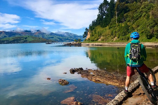 Akaroa Explorer- Guided Electric Bike Tour in Akaroa - Who will enjoy this ride most?