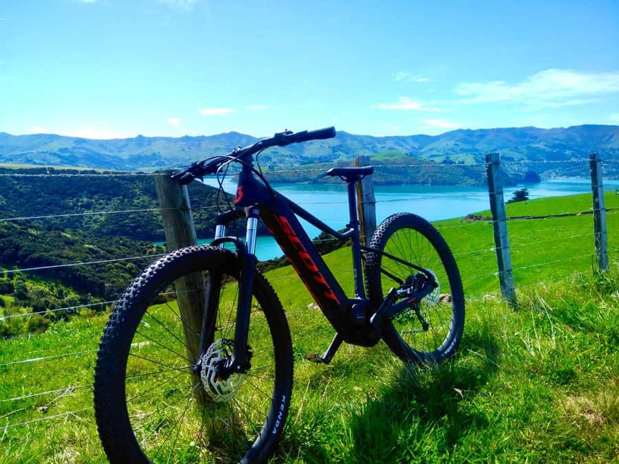 Akaroa Explorer: Guided Electric Mountain Bike Tour - Starting on Main Street in Akaroa