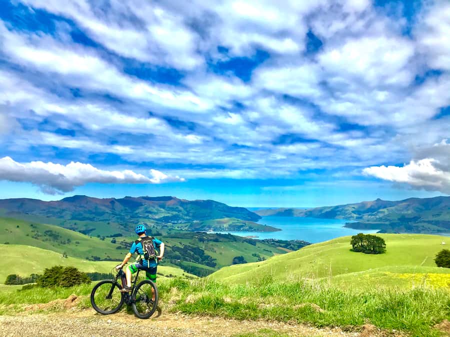 Akaroa Explorer: Guided Electric Mountain Bike Tour - Coastal roads and wide Pacific views