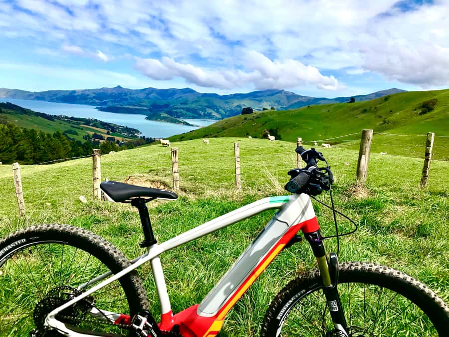 Akaroa Explorer: Guided Electric Mountain Bike Tour - Guides, pace, and the small-group feel
