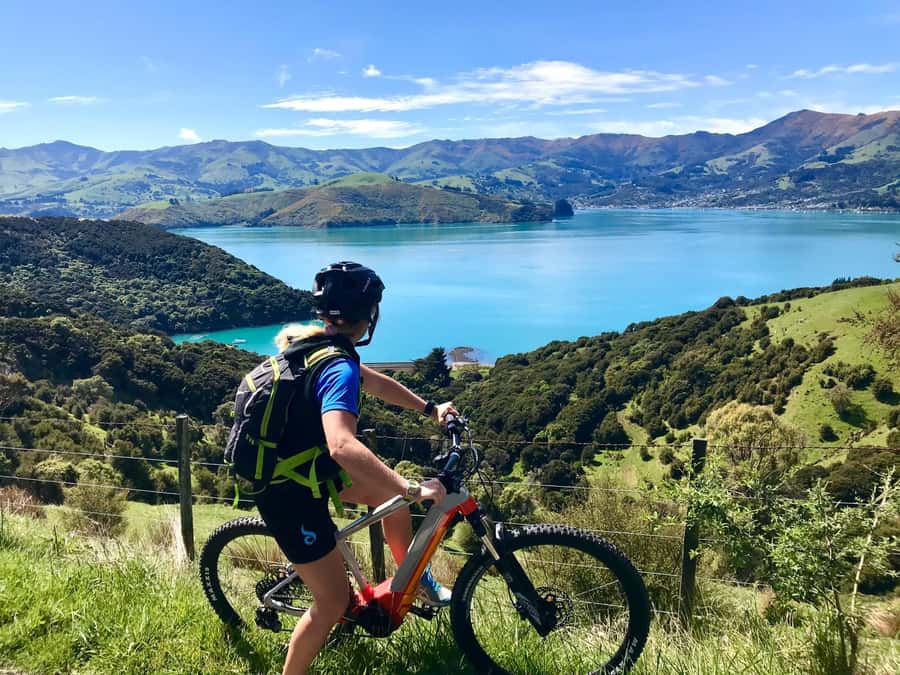Akaroa Explorer: Guided Electric Mountain Bike Tour - Who will enjoy this Akaroa ride?
