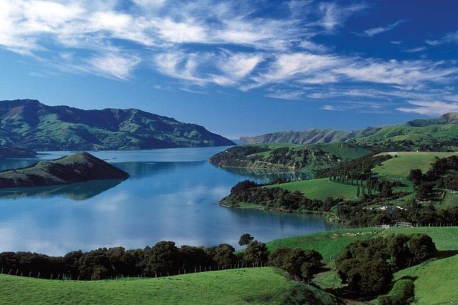 Akaroa Full Day Sightseeing Tour from Christchurch - How much value do you get for $167.55?