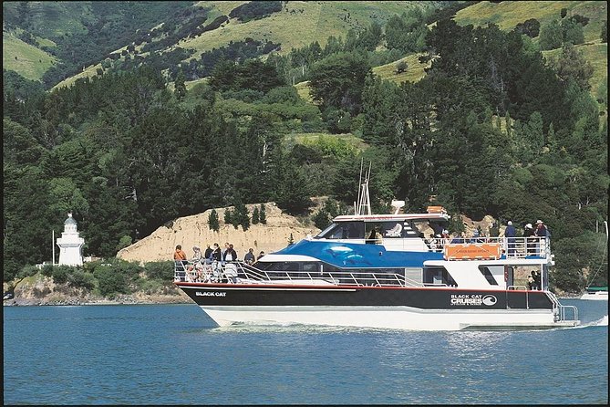 Akaroa Full Day Sightseeing Tour from Christchurch - Barry’s Bay cheese and a taste of local character
